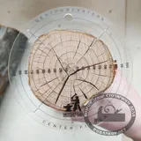 Центроискатель, модель n2, D100мм