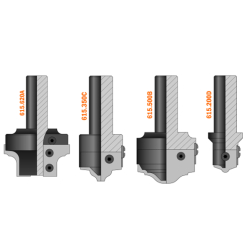 Фреза (корпус) для сменных ножей S=20x50 D=62x30 (профиль A) CMT 615.620A