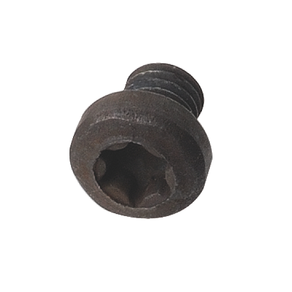 Винт TORX T9 M4X3X3 D=6 для 694.001