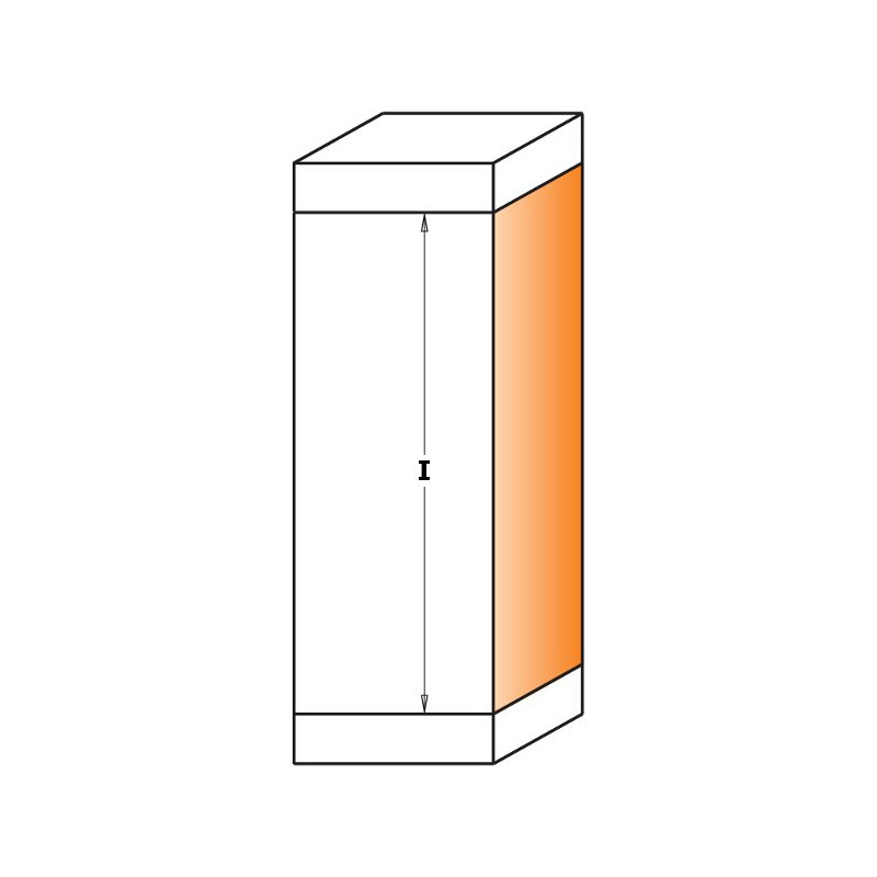 Фреза обгонная (верн.+нижн. подш.), смен.ножи HM S=12 D=19x50x110 Z2 RH CMT 657.993.11B