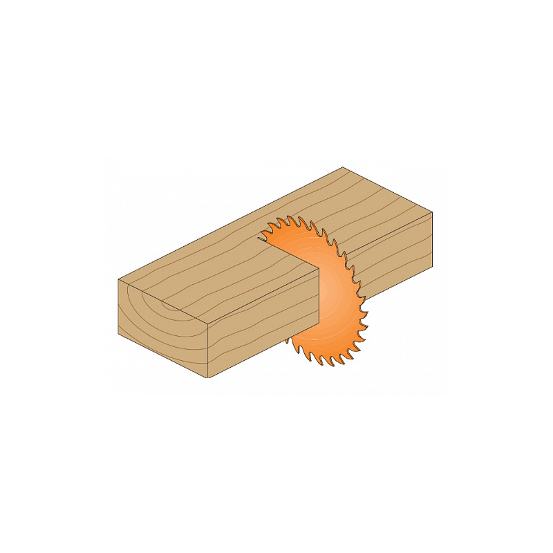 Великолепный поперечный рез древесины