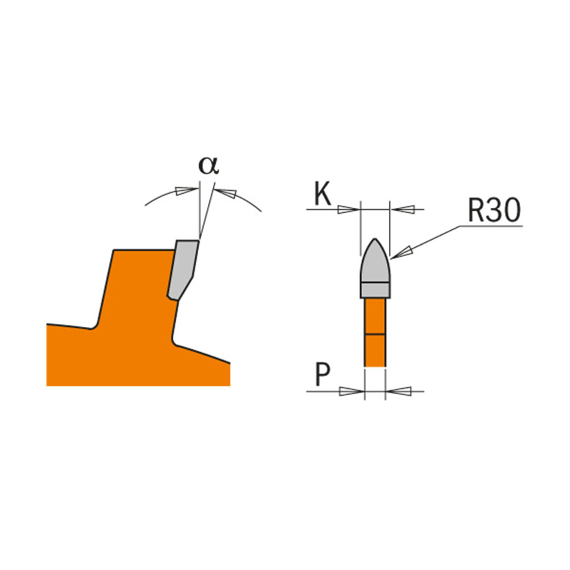 Диск пильный 100x22x8,0/6,0 18° R30 Z=4 CMT 240.004.04