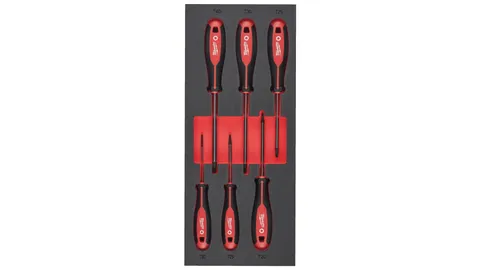 Ложемент Milwaukee с отвертками TORX набор 6ед. (T10/T15x75, T20/T25x100, T30/T40x125)